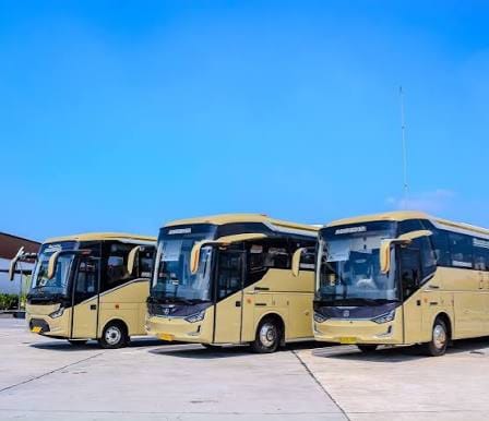 Bus Pariwisata 50 Seat
